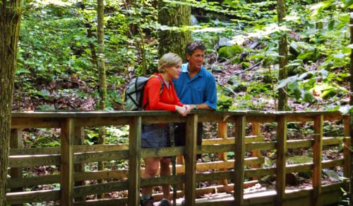 Brasstown-Valley-Acitivities-Hiking-1-740x430