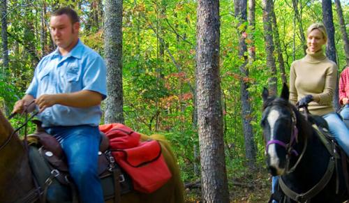 Brasstown-Valley-Stables-1-740x430