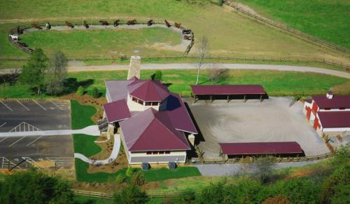 Brasstown-Valley-Stables-Programs-Western-Riding-Lessons-740x430