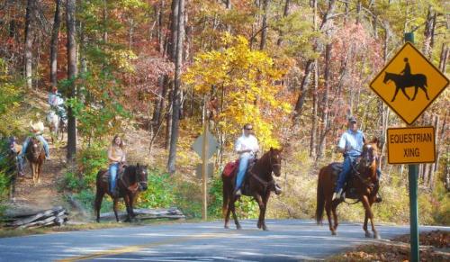 Brasstown-Valley-Stables-Programs-Wranglers-Breakfast-Ride-740x430