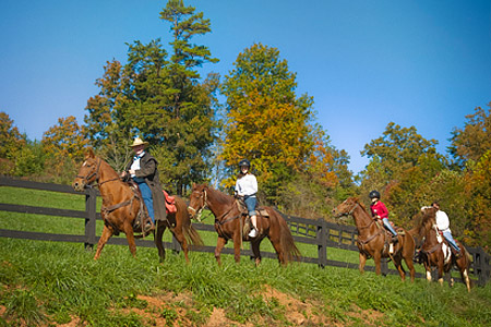 Brasstown-Valley-Stables-Programs