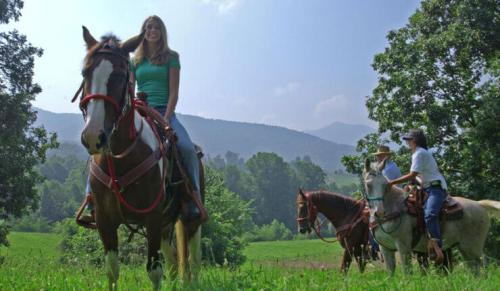 activities-stables-740x430