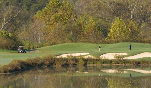 brasstown-valley-golf-arial-putting-740x430