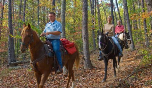 brasstown-valley-stables-horseback-riding3-740x430