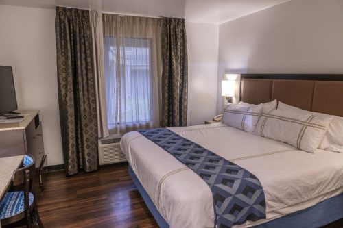 room-11