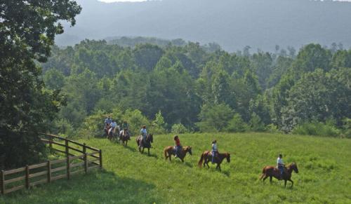 sbrasstown-valley-stables-horseback-riding-group-740x430